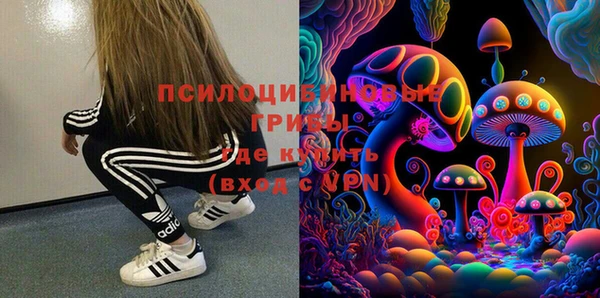 МДПВ Вяземский
