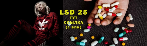 МДПВ Вяземский