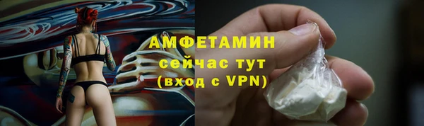 МДПВ Вяземский