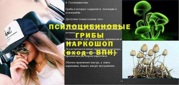 МДПВ Вяземский