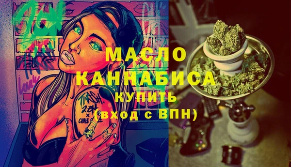 МДПВ Вяземский