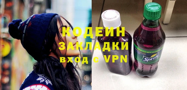 МДПВ Вяземский