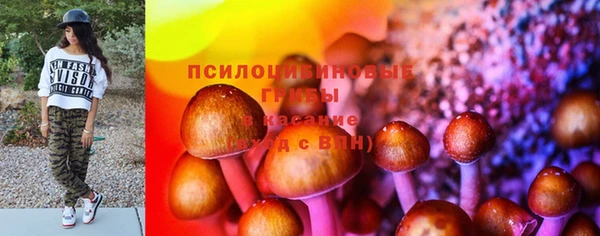 spice Вязьма