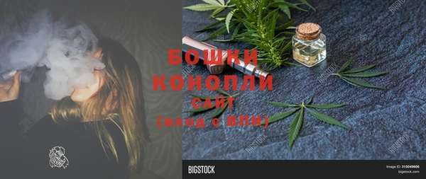 МДПВ Вяземский