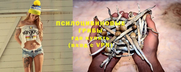 МДПВ Вяземский