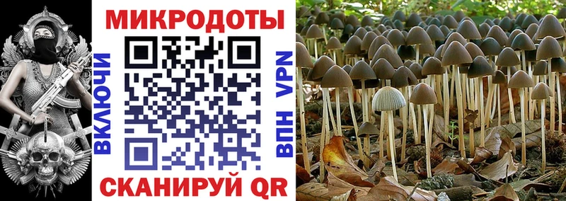 Псилоцибиновые грибы Magic Shrooms  Калининград 